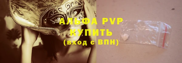 твердый Няндома