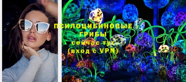 мет Новозыбков