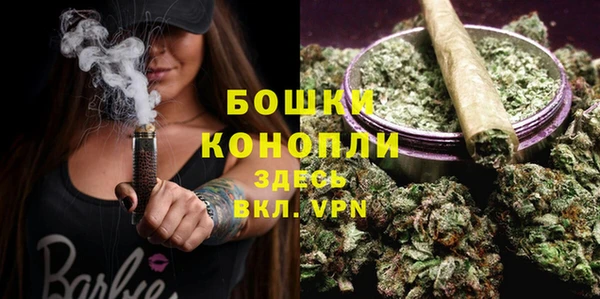 твердый Няндома
