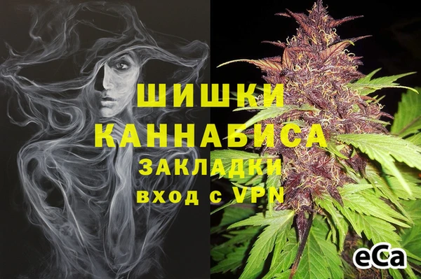 мет Новозыбков
