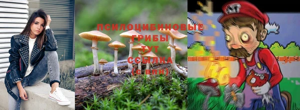твердый Няндома