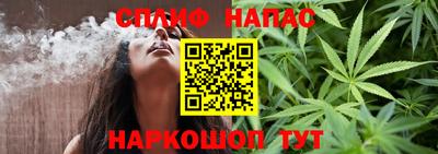 гашик Балахна