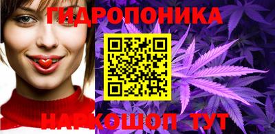 apvp Волжск