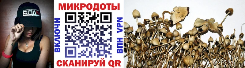 Псилоцибиновые грибы прущие грибы мега сайт Киржач что такое