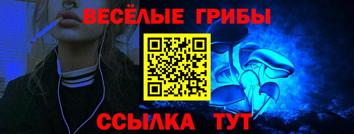 Киржач  Псилоцибиновые грибы ЛСД  Псилоцибиновые грибы Psilocybine cubensis  Вход с VPN 
